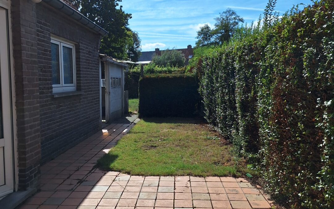 Tielt - 10